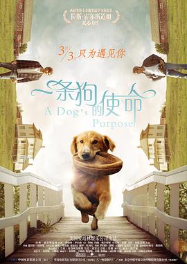 亚洲精品高清